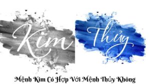 Mệnh Kim Có Hợp Với Mệnh Thủy Không?