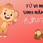 tử vi người sinh năm 2016