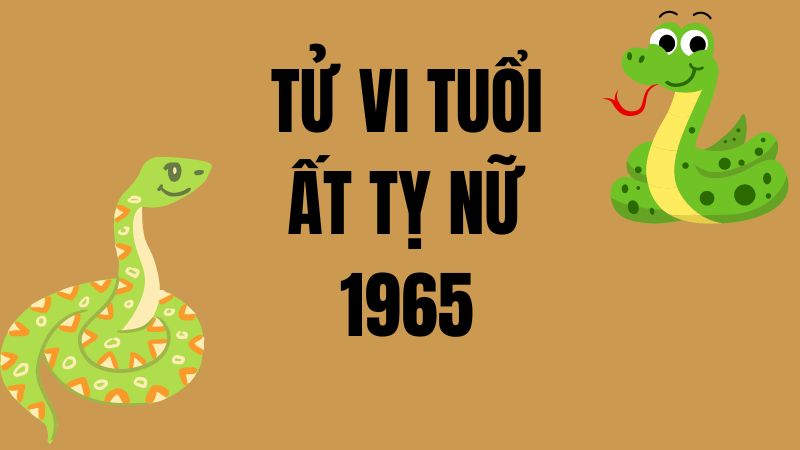 Luận Giải Tử Vi Tuổi Ất Tỵ Nữ 1965 Trong Năm 2024