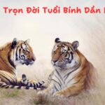 tử vi trọn đời tuổi bính dần nam